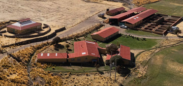 Pacomarca: Descubre cómo mejoramos la calidad de la fibra de las alpacas peruanas